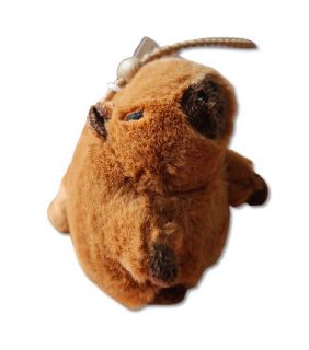 Obrázek z Kapybara plyš po natažení vrtí ocáskem (12) 